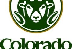 e46fd0090d62dae7cf6724170407c837--colorado-state-university-online-programs