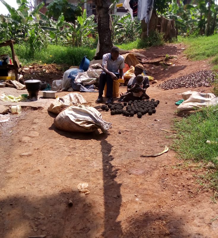 CREEC UNDERTAKES RESEARCH ON MINI-GRID INNOVATIONS