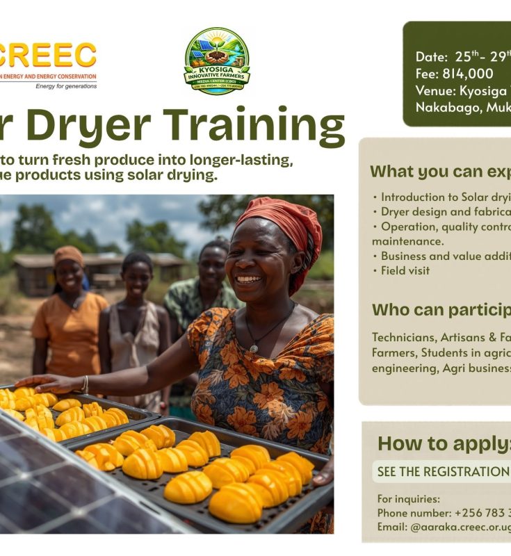 Turn Your Harvest into Profit: Learn Solar Drying That Pays