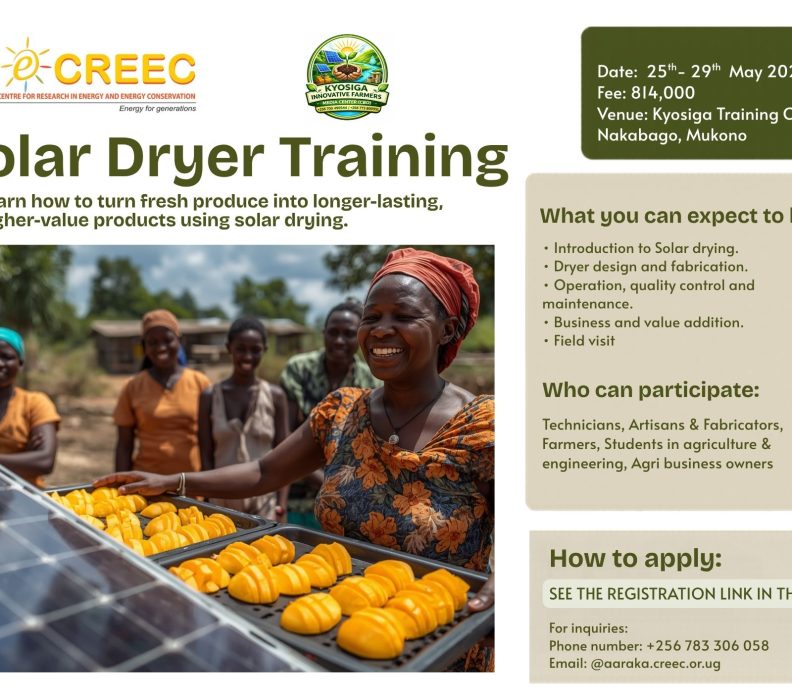 Turn Your Harvest into Profit: Learn Solar Drying That Pays
